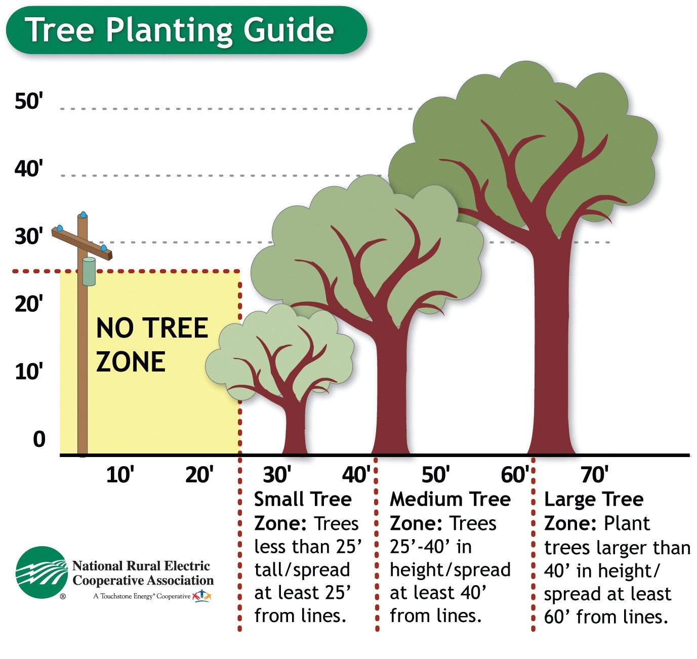 Tree Planting Zone